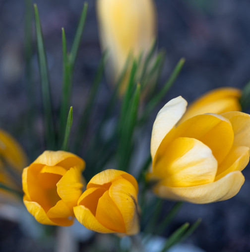 ОВЕН, привличате внимание и подкрепа! СТРЕЛЕЦ, нов проект и допълнителен доход! Дневен хороскоп за 14 март 2026 г.