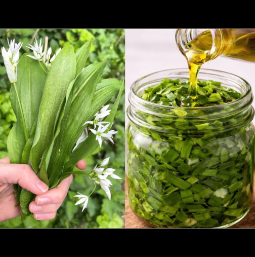 Когато набере див чесън, майка ми винаги залива шепа листа с обикновено олио и го оставя да престои: Не лек, а еликсир!