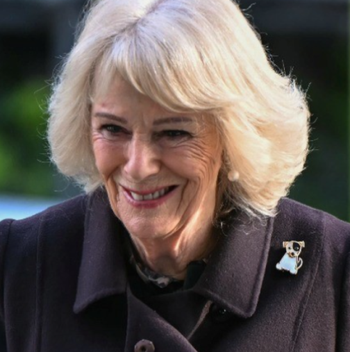 „Тя му проми мозъка“: Камила разказа подробности за разрива в кралското семейство