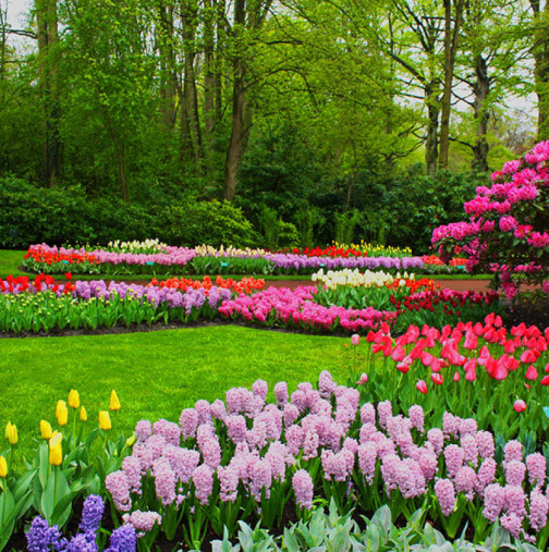 Хороскоп за вторник 10 март