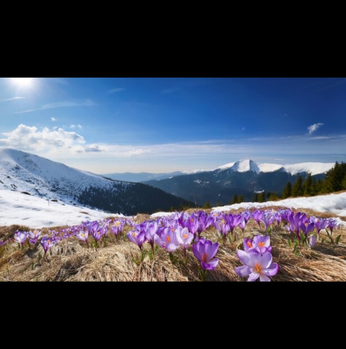 Астропрогноза за 6 март: РАК - радостни новини; СТРЕЛЕЦ - неочаквано пътешествие