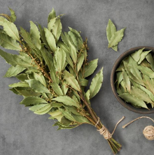 Защо трябва веднага да смесите дафинови листа и сода бикарбонат? Поставете ги във всяка стая и след 2 часа домът ви ще пее