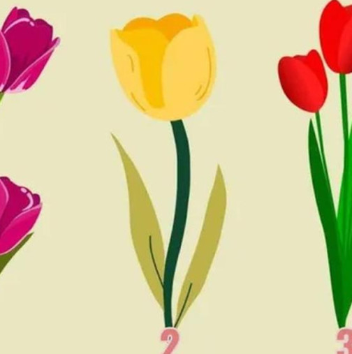Изберете лале и ще разберете каква е вашата личност: Тестът показва дали сте романтични или амбициозни