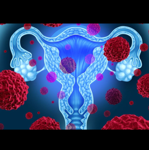 Този хормон е безшумен показател за женската плодовитост: Дали една жена все още може да ражда зависи от неговото количество