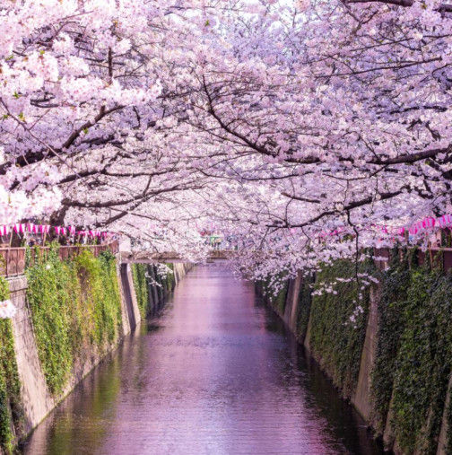 Хороскоп за сряда 1 април 2026 г. 