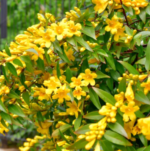 Хороскоп за сряда 11 март 2026 г.