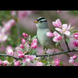 Хороскопът за днес, 14 април: ЛЪВОВЕТЕ ще преживеят изненада, СКОРПИОНИТЕ принудени да рискуват