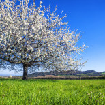 Хороскоп за вторник 14 април 2026 г.