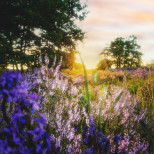 Хороскоп за 25 април 2026: ден на енергия, срещи и неочаквани обрати