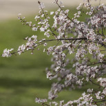 Хороскоп за сряда 22 април 2026 г.