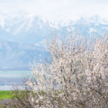 Хороскоп за събота 11 април 2026 г.