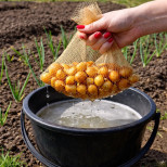 Не засаждайте лук, докато не видите това - стар градинарски трик за огромна реколта!