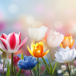 РАК, интересни предложения или покани. РИБИ, комуникацията е ключова и носи важна информация - Дневен хороскоп за 25 април