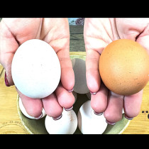 Таня взе 10 жълти, домашни яйца, и ги избели само с 1 продукт - няма нужда да обикаляте магазините повече!