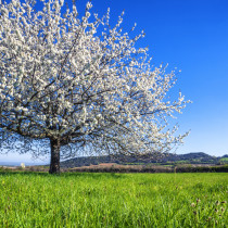 Хороскоп за вторник 14 април 2026 г.