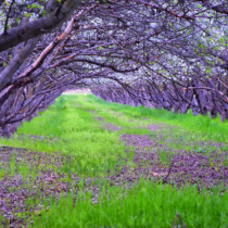 Хороскоп за четвъртък 30 април 2026 г.