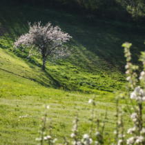 Хороскоп за понеделник 20 април 2026 г.