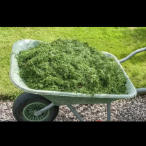 40-годишният опит на градинар: Ето защо НИКОГА не трябва да изхвърляте окосената трева!