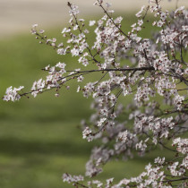 Хороскоп за сряда 22 април 2026 г.