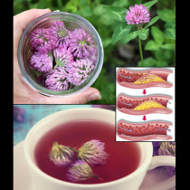 Виждали сте я да расте под път и над път, но не сте знаели на какво е способна! Тайните на червената детелина: