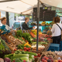 На пазарите всички търсят само това растение: Понижава холестерола и кръвното налягане, а билкар разкрива как да го използвате