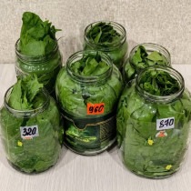 Който ги има в градината, не трябва да се тревожи за ВИСОКО КРЪВНО, разширени вени или алергии: Наберете тези листа през пролетта!