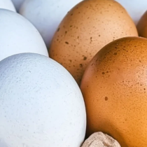 Как да избелите яйца без готвене: Никога не е по-лесно, ще бъде като сняг за 15 минути!