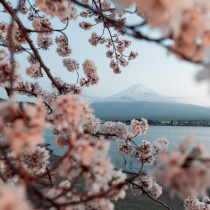 Хороскоп за вторник 21 април 2026 г.