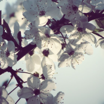 Хороскоп за днес 23 април 2026 г.