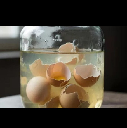 Не хвърляйте черупките от яйцата! Залейте ги с оцет и ще имате истинско съкровище за без пари: