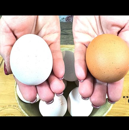 Таня взе 10 жълти, домашни яйца, и ги избели само с 1 продукт - няма нужда да обикаляте магазините повече!