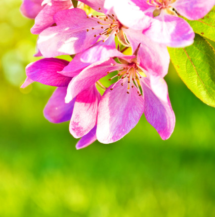 ТЕЛЕЦ, финансово подобрение. БЛИЗНАЦИ, един разговор ще отвори нова врата - Дневен хороскоп за 16 април