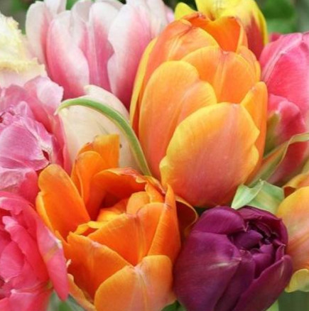 Кой празнува имен ден на Цветница- Всички 108 именици на Цветница