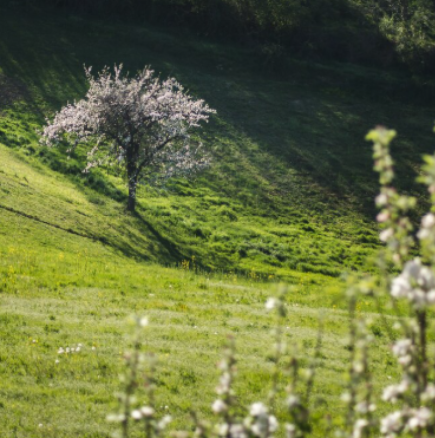 Хороскоп за понеделник 20 април 2026 г.