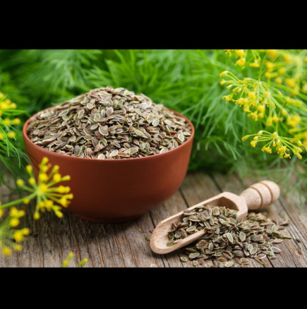 Най-добрият чай за отслабване се приготвя само с ЕДНА съставка: Това семе помага на червата, регулира захарта и топи мазнините.