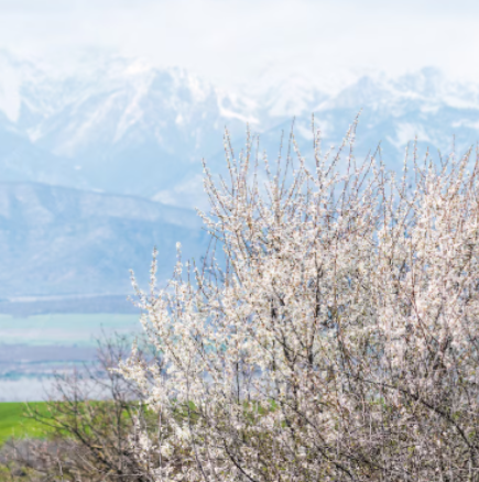 Хороскоп за събота 11 април 2026 г.