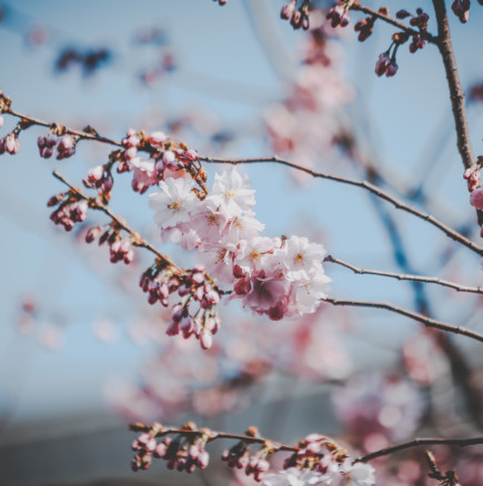 Хороскоп за петък 1 май 2026 г.