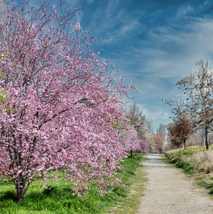 Хороскоп за петък 3 април 2026 г.