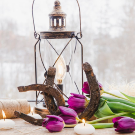 Как да изпълните дома си с енергия на парите? Индийското Васту има 7 правила, които привличат богатството като магнит