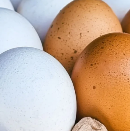 Как да избелите яйца без готвене: Никога не е по-лесно, ще бъде като сняг за 15 минути!