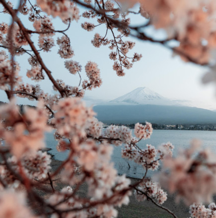 Хороскоп за вторник 21 април 2026 г.