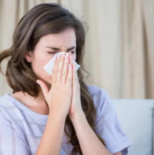 Алергията ви съсипва дори у дома? Тези 2 скрити виновника ще ви шокират!