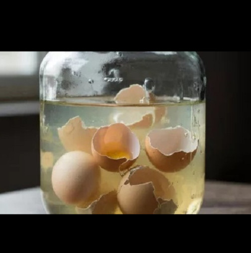 Не хвърляйте черупките от яйцата! Залейте ги с оцет и ще имате истинско съкровище за без пари: