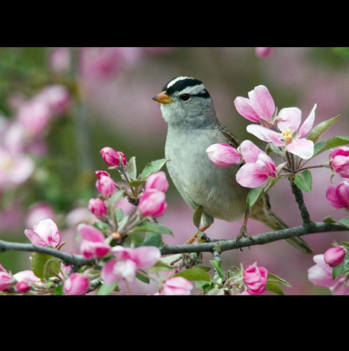 Хороскопът за днес, 14 април: ЛЪВОВЕТЕ ще преживеят изненада, СКОРПИОНИТЕ принудени да рискуват