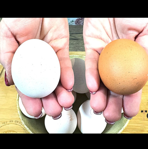 Таня взе 10 жълти, домашни яйца, и ги избели само с 1 продукт - няма нужда да обикаляте магазините повече!