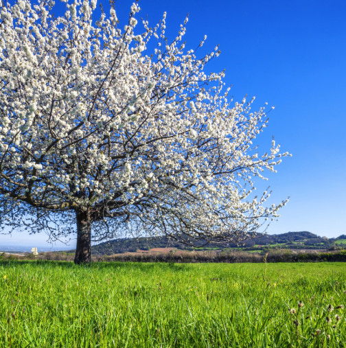 Хороскоп за вторник 14 април 2026 г.