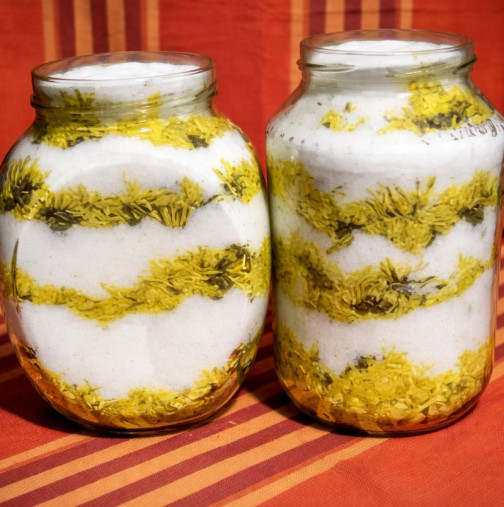 Лечебно ЧУДО за бронхит, пневмония и кашлица: Безплатно е през пролетта и ще ви държи здрави през цялата година!