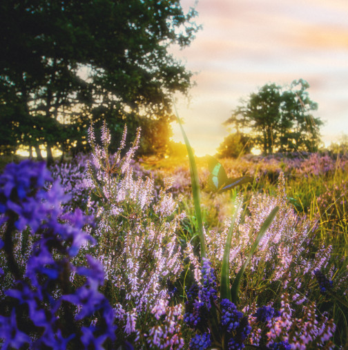 Хороскоп за 25 април 2026: ден на енергия, срещи и неочаквани обрати