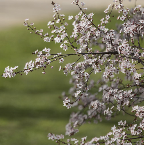 Хороскоп за сряда 22 април 2026 г.