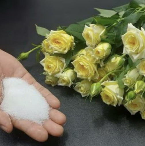 Тайната на цветаря: Как да накарате свежите цветя да издържат до 30 дни 